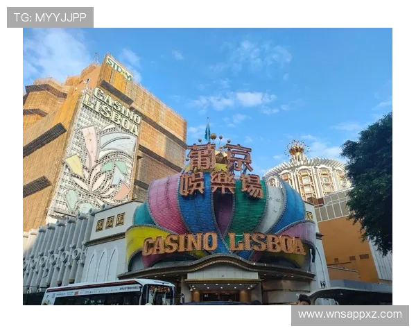 澳门六大赌牌的历史沿革与发展趋势，洞察澳门博彩业的未来方向