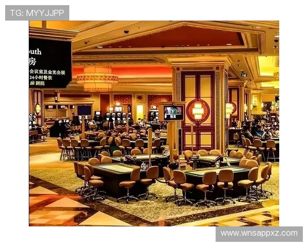 澳门哪个赌场归属于何鸿燊，分析其在澳门博彩业中的历史地位和影响力