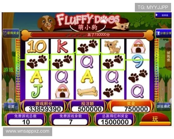 掌握多福多财角子机的玩法规则和技巧提升中奖几率享受更多游戏乐趣