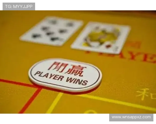 新澳门彩官网平台提供安全稳定的在线博彩体验，满足玩家多样化的娱乐需求