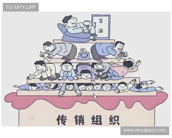 新澳门六网站登录入口全面指南帮助玩家快速安全进入官方平台