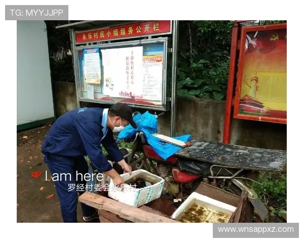 永乐高登录下载详细教程，帮助新手快速上手畅玩永乐高游戏