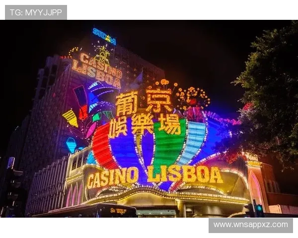 走进澳门新葡京赌场的夜生活，体验不夜城的繁华与激情