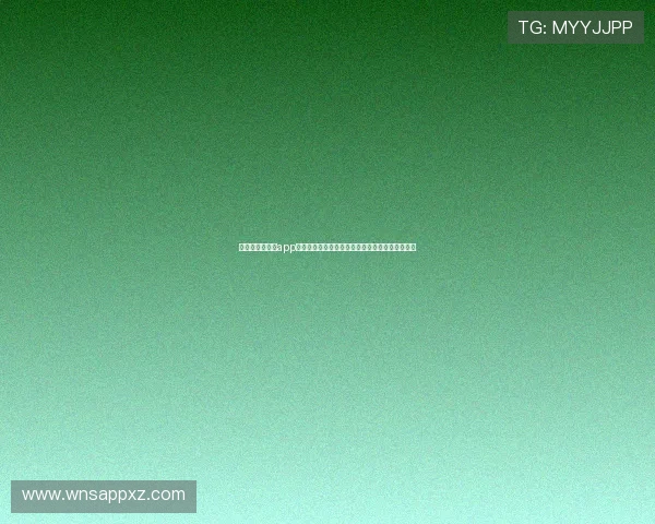 澳门威尼斯在线app提供世界杯赛事数据统计与专业赛前赛后分析内容